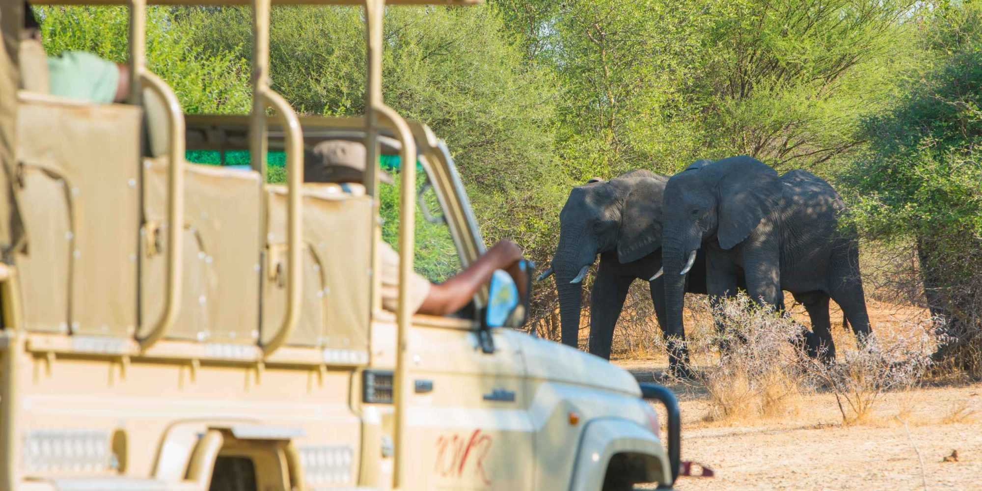 Mahango Game Park - Namibia Wildlife Resorts